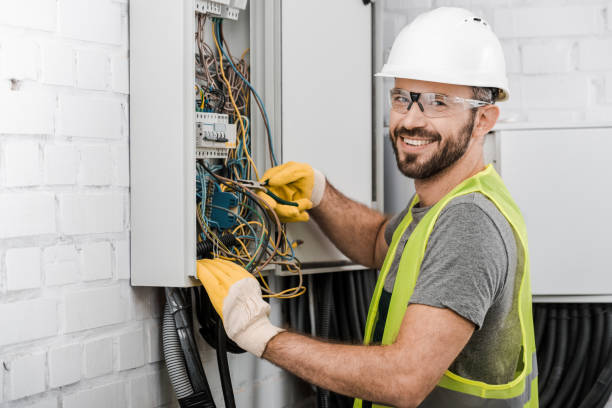 Best Electrician for Home Renovation  in Reed City, MI