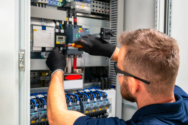 Best Electrical Repair Services  in Reed City, MI