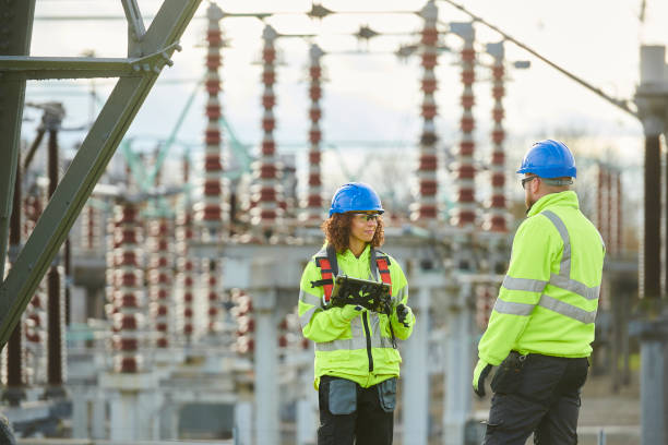 Best Home Electrical Repair  in Reed City, MI