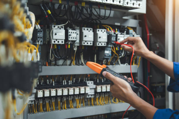 Best Affordable Electrician  in Reed City, MI