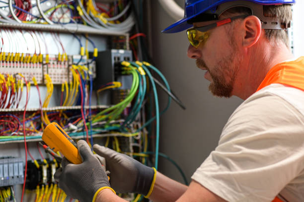 Best Home Electrical Repair  in Reed City, MI
