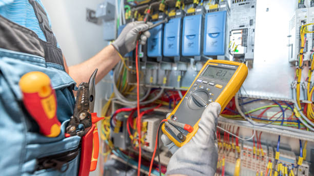 Best Licensed Electrician  in Reed City, MI