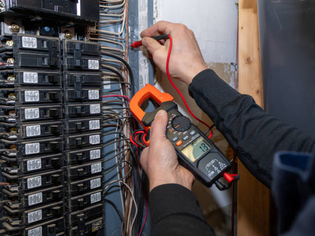 Best Licensed Electrician  in Reed City, MI