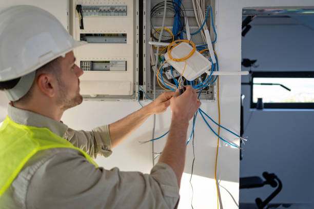 Best Local Electrician Companies  in Reed City, MI